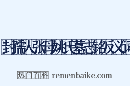 封孺人张母姚氏墓志铭反义词是什么意思的图片